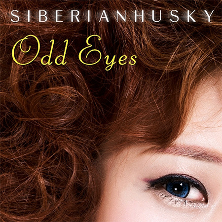 [중고] 시베리안 허스키(Siberian Husky) / Odd Eyes