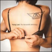 Aerosmith / Young Lust: The Aerosmith Anthology (2CD/미개봉)