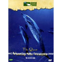 [중고] [DVD] 디스커버리 키즈 : 퀘스트호의 탐험 - Animal Planet : The Quest Visiting The Vampire
