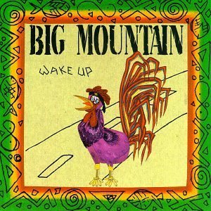 [중고] Big Mountain / Wake Up