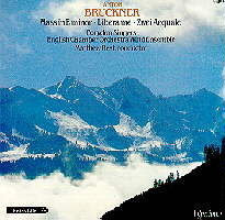[중고] Matthew Best / Bruckner : Mass In E Minor (수입/cda66177)