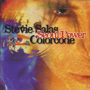 Stevie Salas Colorcode / Seoul Power (미개봉)
