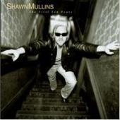 [중고] Shawn Mullins / The First Ten Years